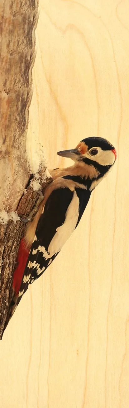 hironwoods-marque-pages-signet-bois-oiseau-pic image 1