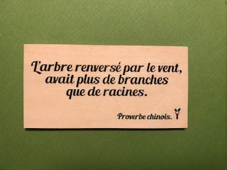 hylarion-cartes-arbre-renvers-carte-en-bois-citation image 1