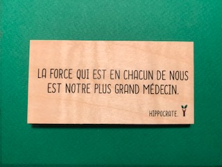 hylarion-cartes-la-force-qui-est-en-nous-carte-bois-10x5 image 1