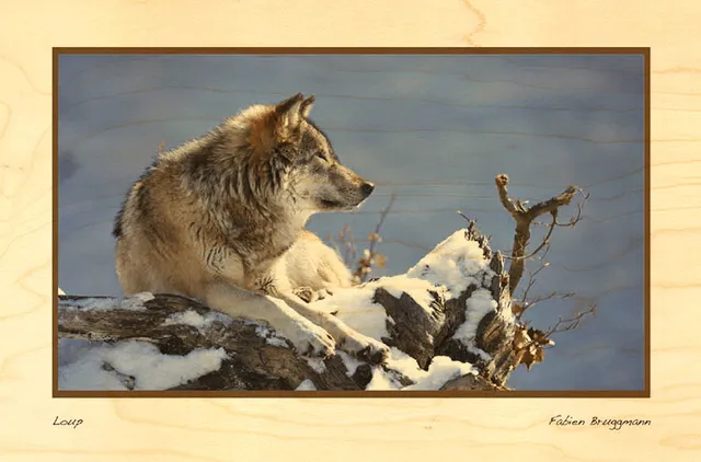 hironwoods-animaux-loup-carte-postale-bois-100x150mm image 1