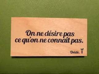 hylarion-cartes-on-ne-d-sire-pas-carte-bois-citation image 1