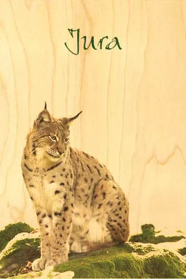 hironwoods-cartes-postales-en-bois-lynx-jura-100x150mm image 1