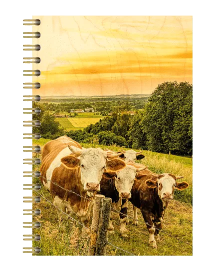 hironwoods-vaches-soleil-couchant-carnet-bois-146x94mm-paysage image 1