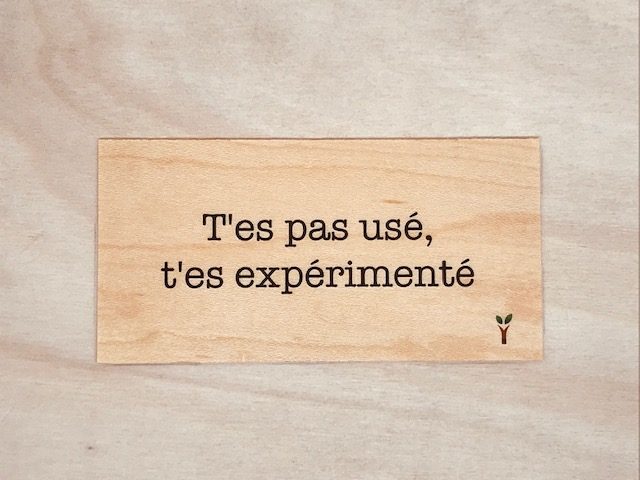 hylarion-cartes-t-es-pas-us-t-es-exp-riment-carte-bois-humour image 1