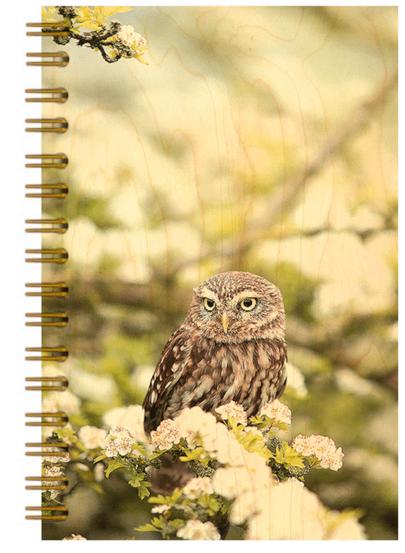 hironwoods-carnet-chouette-chev-che-couv-bois-146x94mm image 1