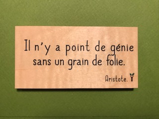 hylarion-cartes-il-n-y-a-point-de-g-nie-carte-bois-grav-e image 1