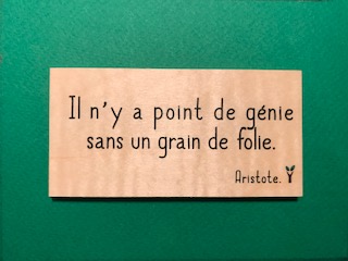 hylarion-cartes-il-n-y-a-point-de-g-nie-carte-bois-10-5-cm image 1