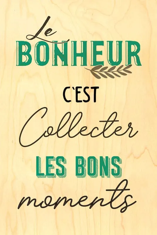 hironwoods-happy-wood-collecter-carte-bois-100x150mm image 1