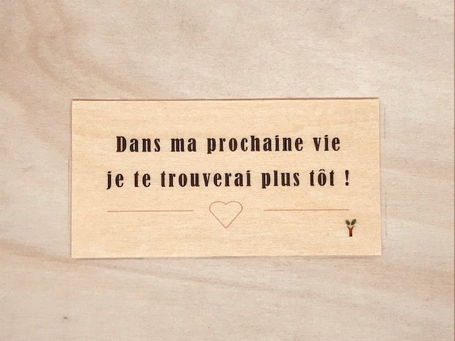 hylarion-cartes-dans-ma-prochaine-vie-carte-bois-10x5-cm image 1