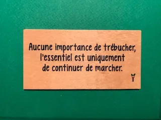 hylarion-cartes-aucune-importance-de-tr-bucher-carte-bois-10x5-cm image 1