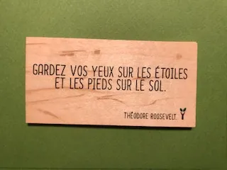 hylarion-cartes-carte-bois-yeux-toiles-pieds-sol image 1