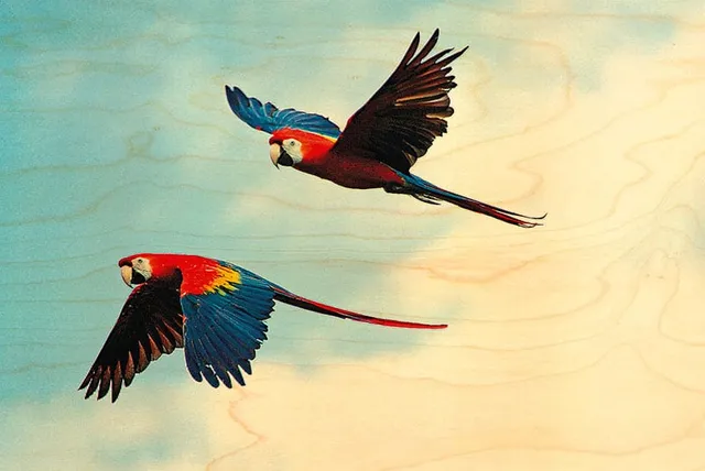 hironwoods-magnets-aras-en-vol-magnet-bois-oiseau image 1