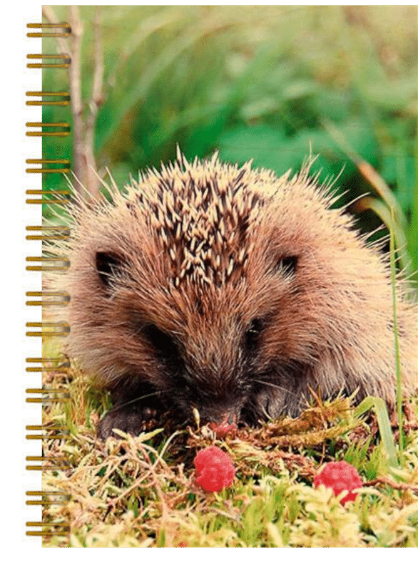 hironwoods-carnets-couverture-bois-h-risson-framboise-carnet-146x94mm image 1