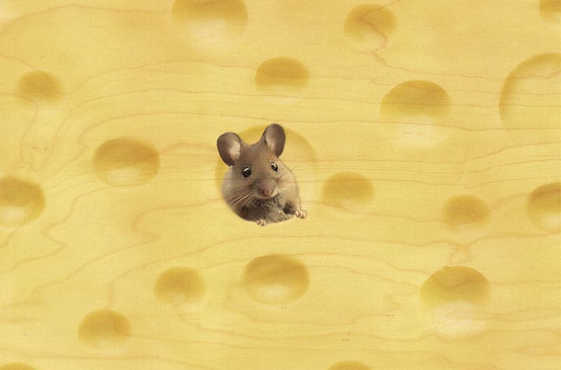 hironwoods-carte-postale-bois-souris-fromage-100x150mm image 1