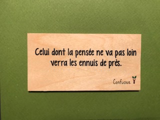 hylarion-cartes-celui-dont-la-pens-e-ne-va-pas-loin-carte-bois image 1