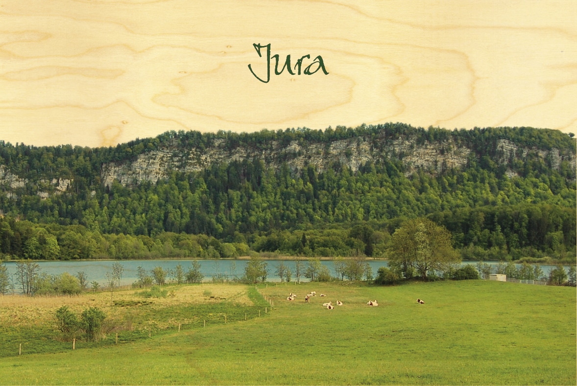 hironwoods-carte-postale-bois-paysage-lac-jura-100x150mm image 1