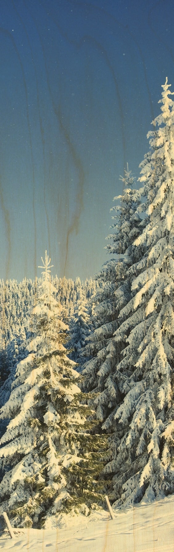hironwoods-sapins-enneig-s-marque-page-bois image 1