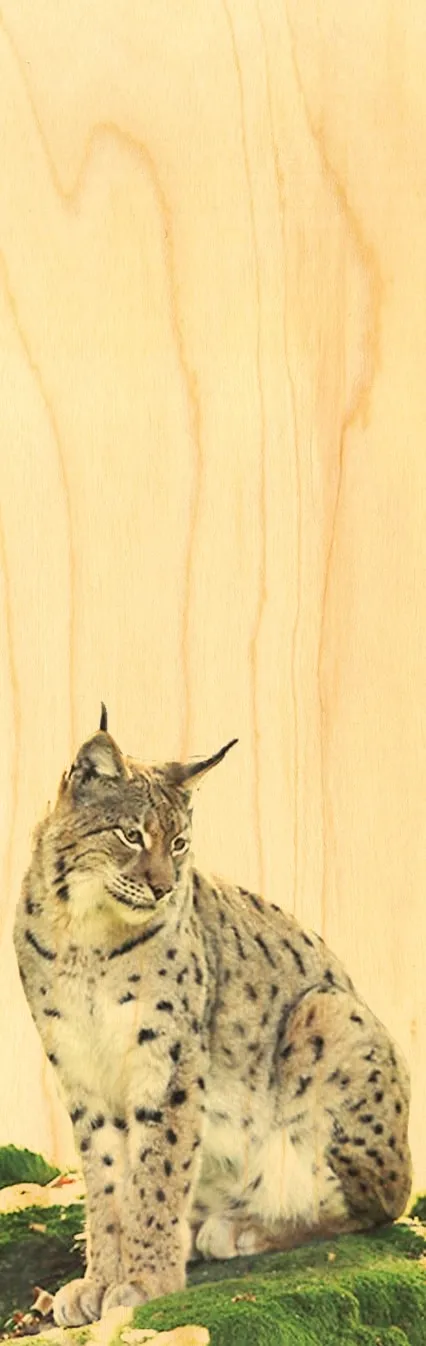 hironwoods-marque-pages-marque-page-bois-animaux-lynx image 1