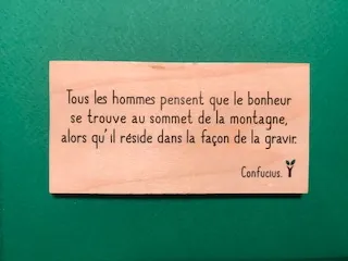 hylarion-cartes-carte-bois-bonheur-se-trouve-10x5-cm-massif image 1