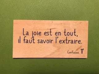 hylarion-cartes-la-joie-est-en-tout-carte-en-bois-citation image 1