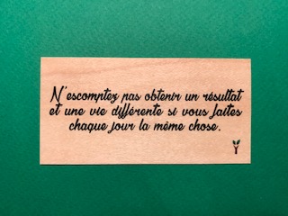hylarion-cartes-n-escomptez-pas-carte-bois-citation-10x5-cm image 1