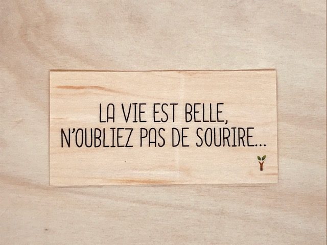 hylarion-cartes-carte-bois-la-vie-est-belle-10x5-cm image 1