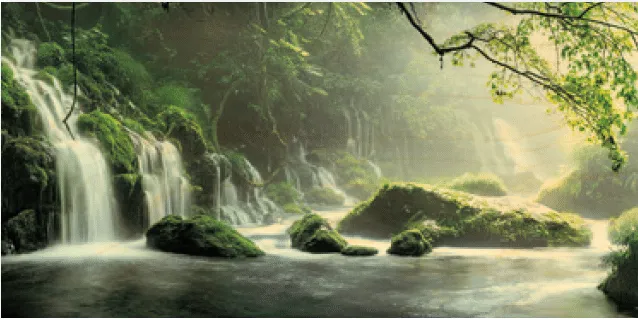 hironwoods-carte-bois-panoramique-cascade-for-t-100x200mm image 1