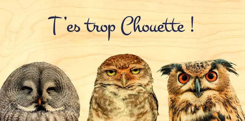 hironwoods-carte-bois-panoramique-trio-chouettes-100x200mm image 1