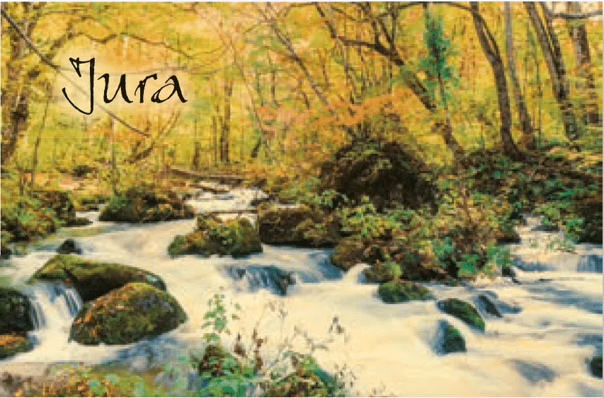 hironwoods-carnets-couverture-bois-carnet-146x94mm-torrent-for-t-jura image 1