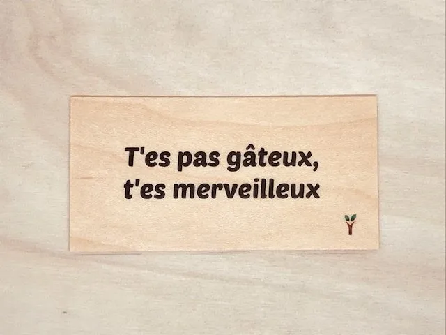 hylarion-cartes-t-es-pas-g-teux-carte-en-bois-humour image 1