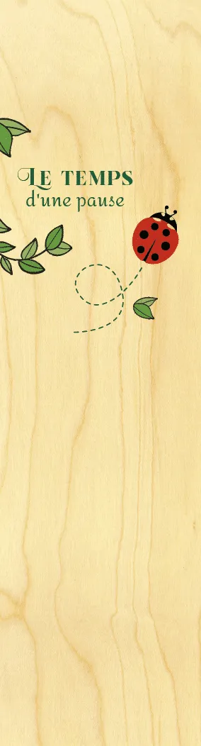 hironwoods-pause-coccinelle-marque-page-bois-lecture image 1