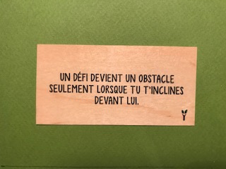 hylarion-cartes-d-fi-obstacle-carte-bois-motivation image 1