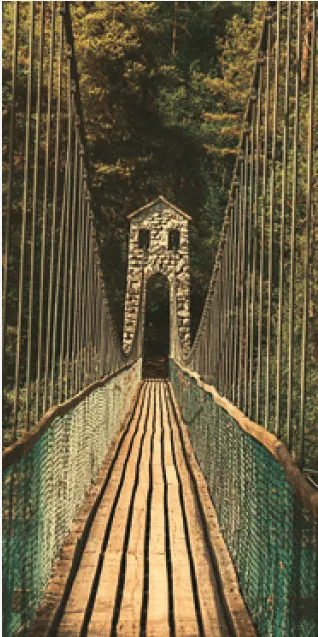 hironwoods-carte-bois-panoramique-pont-suspendu-100x200mm image 1