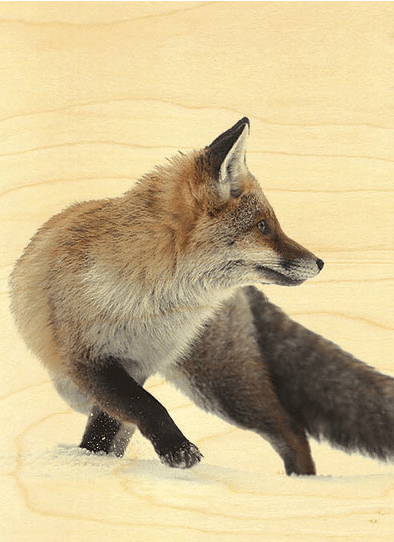 hironwoods-renard-neige-carnet-couverture-bois-146x94mm image 1