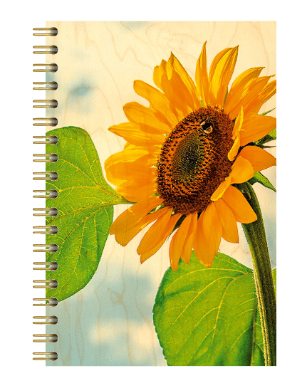 hironwoods-tournesol-carnet-couverture-bois-146x94mm-fleur image 1