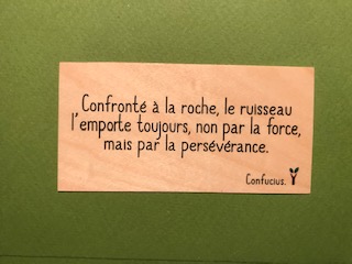 hylarion-cartes-confront-la-roche-le-ruisseau-carte-bois image 1