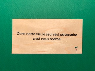 hylarion-cartes-dans-notre-vie-le-seul-r-el-adversaire-carte-bois image 1