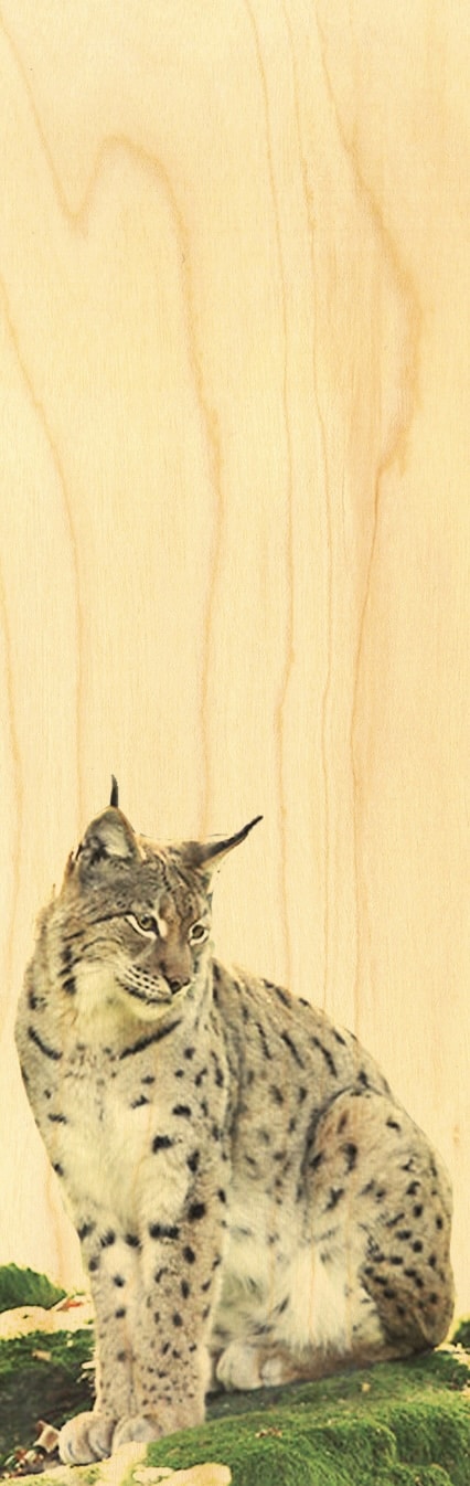 hironwoods-marque-pages-marque-page-bois-animaux-lynx image 1