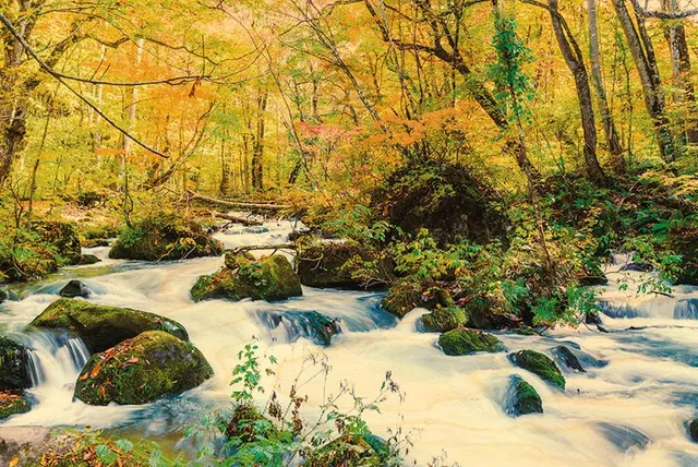hironwoods-torrent-for-t-jura-magnet-bois-nature image 1