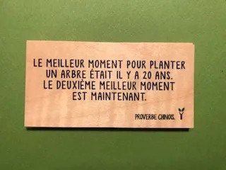 hylarion-cartes-planter-un-arbre-carte-bois-nature image 1