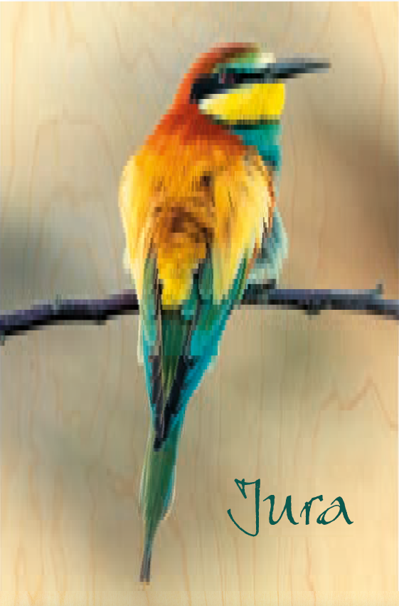 hironwoods-carnet-gu-pier-carnet-bois-couverture-oiseau-jura image 1
