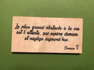 hylarion-cartes-carte-bois-le-plus-grand-obstacle-est-l-attente image 1