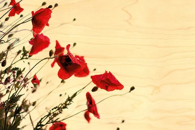 hironwoods-coquelicot-troupeau-carte-postale-bois-100x150mm image 1