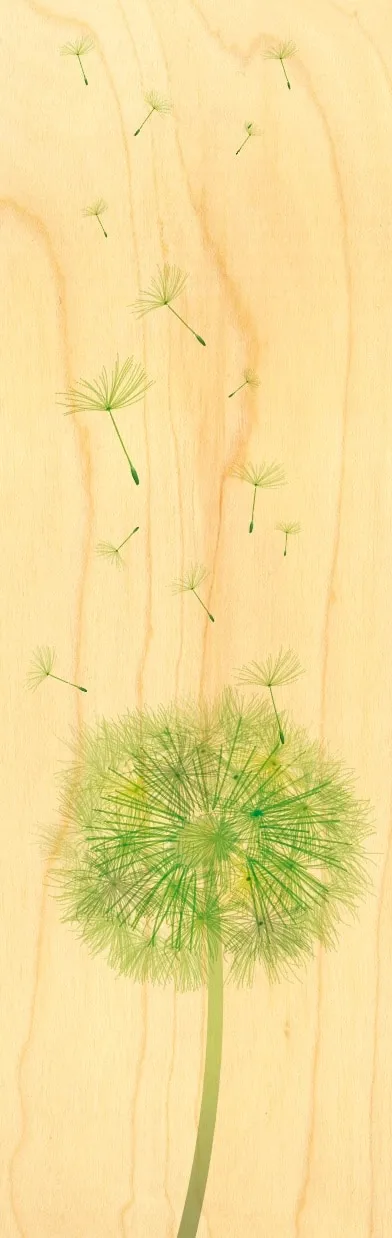 hironwoods-marque-pages-pissenlit-marque-page-bois-fleur image 1