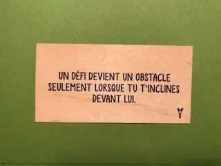 hylarion-cartes-d-fi-obstacle-carte-bois-motivation image 1