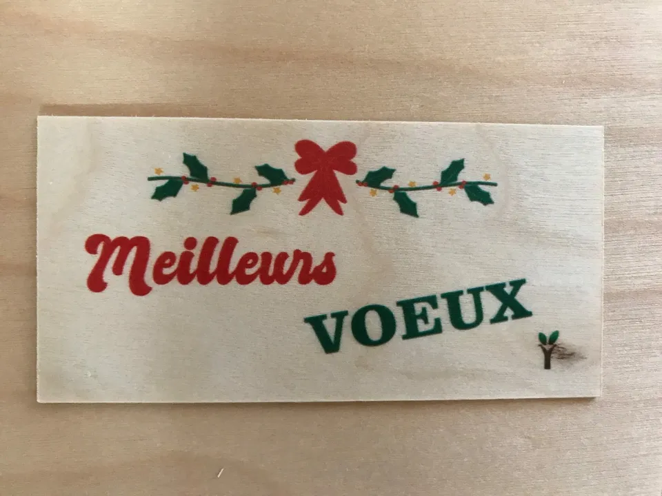 hylarion-cartes-meilleurs-voeux-carte-voeux-papier image 1