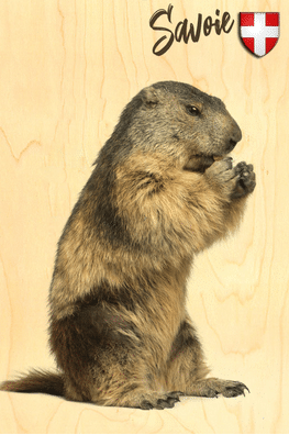 hironwoods-animaux-marmotte-debout-carnet-bois-146x94mm image 1