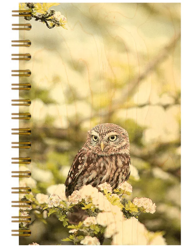hironwoods-carnet-chouette-chev-che-couv-bois-146x94mm image 1