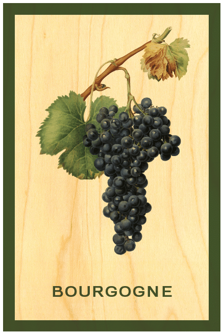 hironwoods-magnet-bois-grappe-aimant-frigo image 1