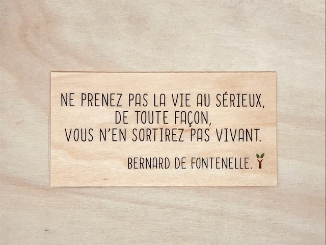 hylarion-ne-prenez-pas-la-vie-au-s-rieux-carte-bois-10x5-cm image 1